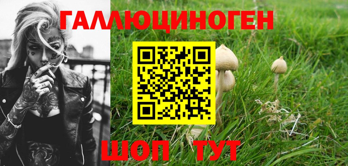 Норильск  Псилоцибиновые грибы Psilocybe  Вход с VPN 