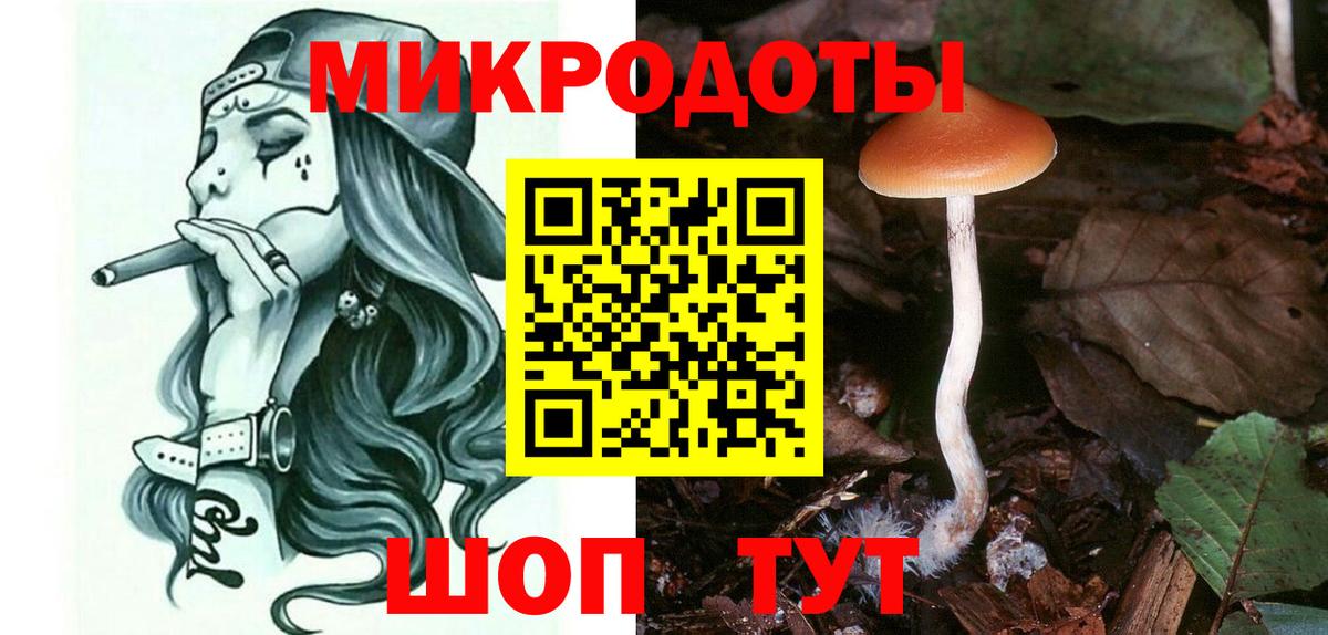 Псилоцибиновые грибы Psilocybine cubensis Норильск